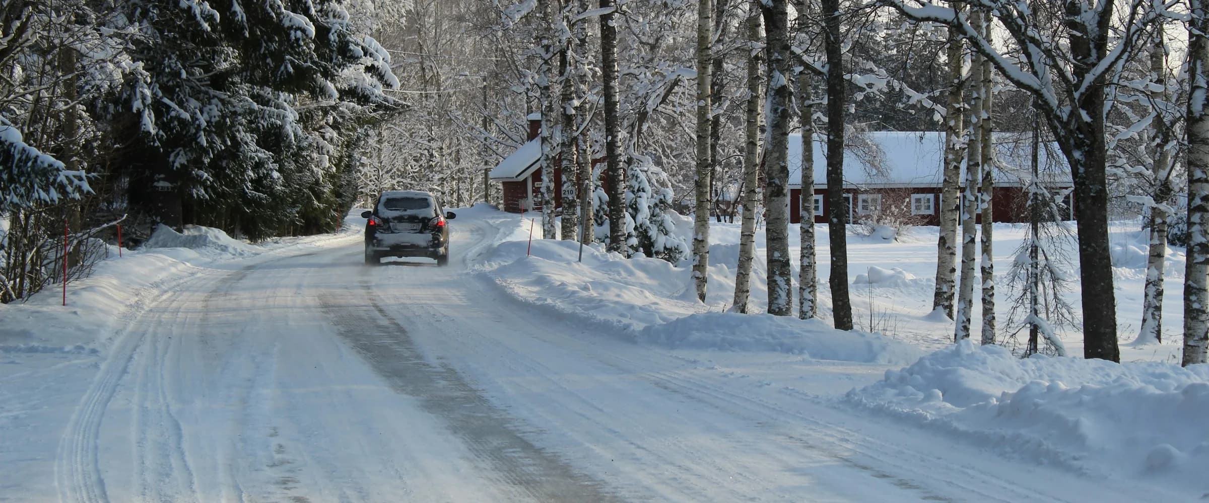 Bil på en snødekt vei gjennom bjørkeskog